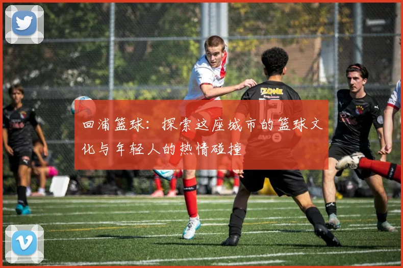 回浦篮球：探索这座城市的篮球文化与年轻人的热情碰撞
